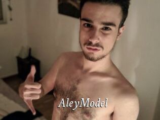 AleyModel