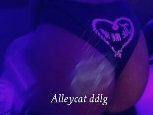 Alleycat_ddlg