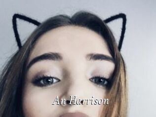 An_Harrison