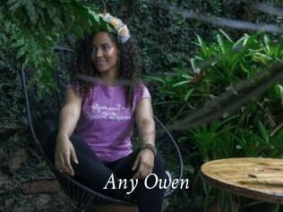 Any_Owen