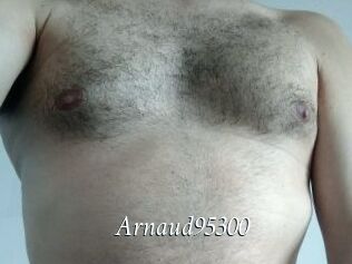 Arnaud95300