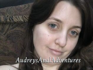 AudreysAnalAdventures