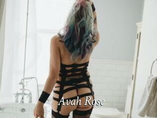 Avah_Rose