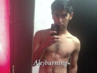 Alejburning