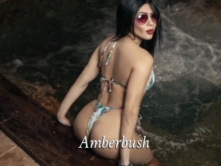 Amberbush