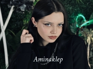 Aminaklep