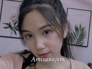 Amisanajem