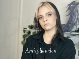 Amitybawden