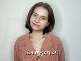 Amitygornall