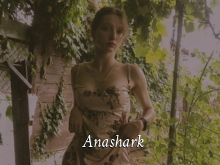 Anashark
