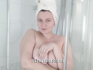 Andipussini