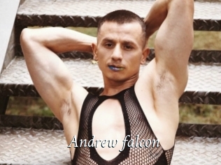 Andrew_falcon
