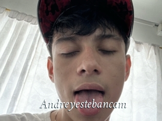 Andreyestebancam