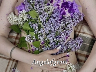Angelofgrom