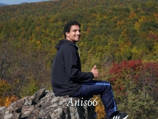 Anis66