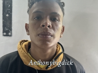 Anthonybigdick