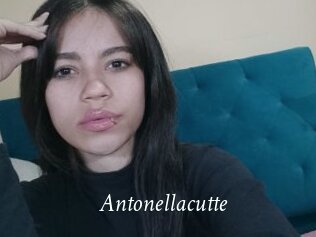 Antonellacutte