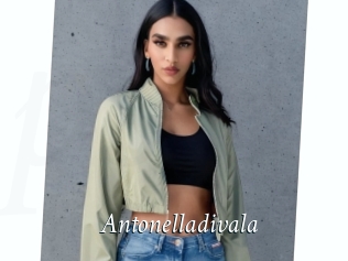 Antonelladivala