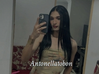 Antonellatobon