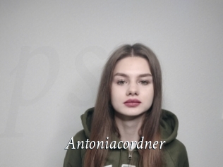 Antoniacordner