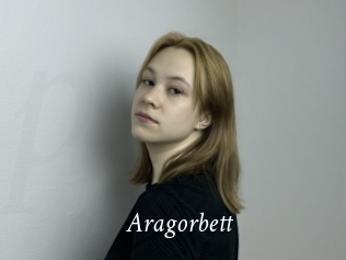 Aragorbett