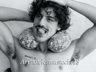 Aristotelesmustache18