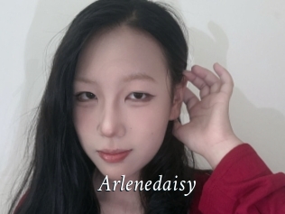 Arlenedaisy