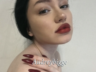 Audreybigge