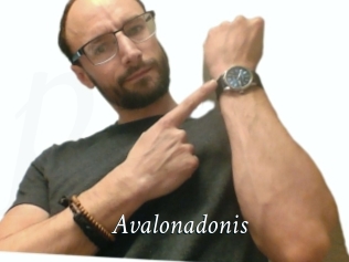 Avalonadonis