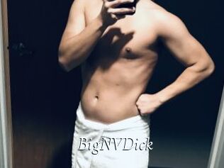 BigNVDick