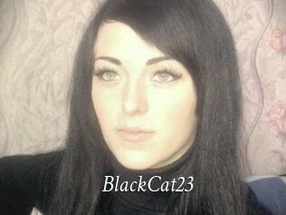 BlackCat23