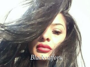 Blackcatforu
