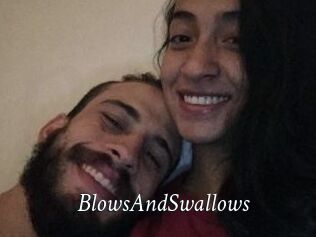 BlowsAndSwallows