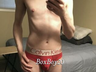 BoxBoy20