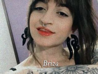 Briza