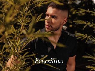 BruceSilva