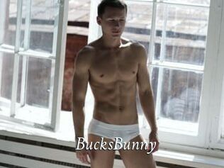 BucksBunny