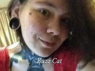 Buzz_Cat
