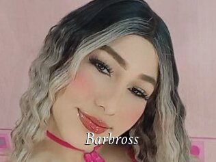 Barbross
