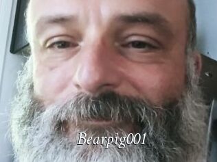 Bearpig001