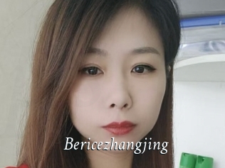 Bericezhangjing