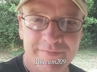 Bidrum209