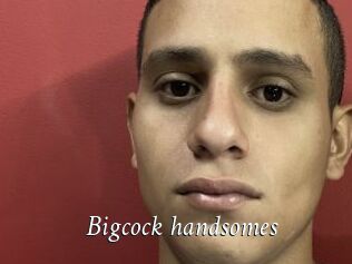 Bigcock_handsomes