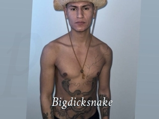 Bigdicksnake