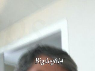 Bigdog614
