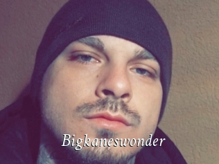 Bigkaneswonder