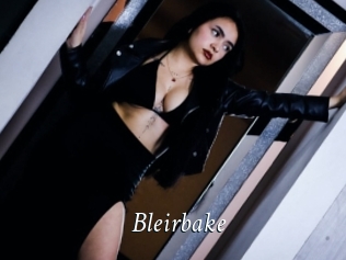 Bleirbake