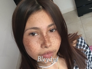 Bleydys