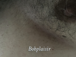 Bobplaisir