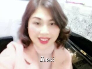 Bosai